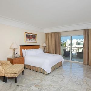 Suite Adult